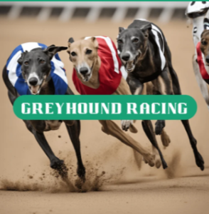 GREYHOUND RACING